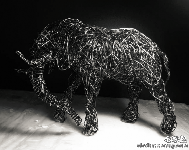 CandiceBees让你惊呆的动物雕塑！