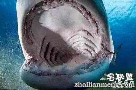 地球上最倒霉的10个人，瞬间觉得自己好幸运！