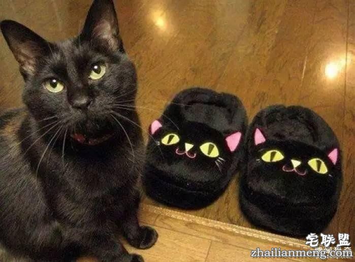 照片神吐槽，看着看着就笑了！