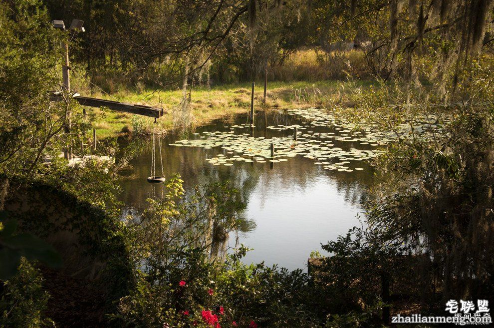 迪士尼水上乐园应该是个很欢乐的地方，但这座已荒废11年的诡异史前丛林园地让人都不敢靠近...