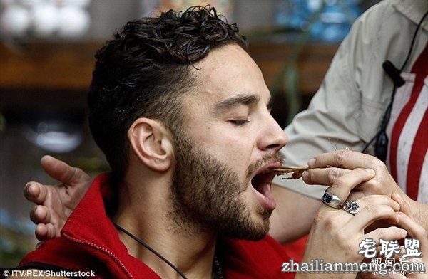 重口味网红：真人秀口含蜘蛛蟑螂