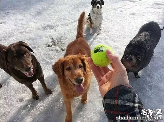 照片神吐槽，看着看着就笑了！