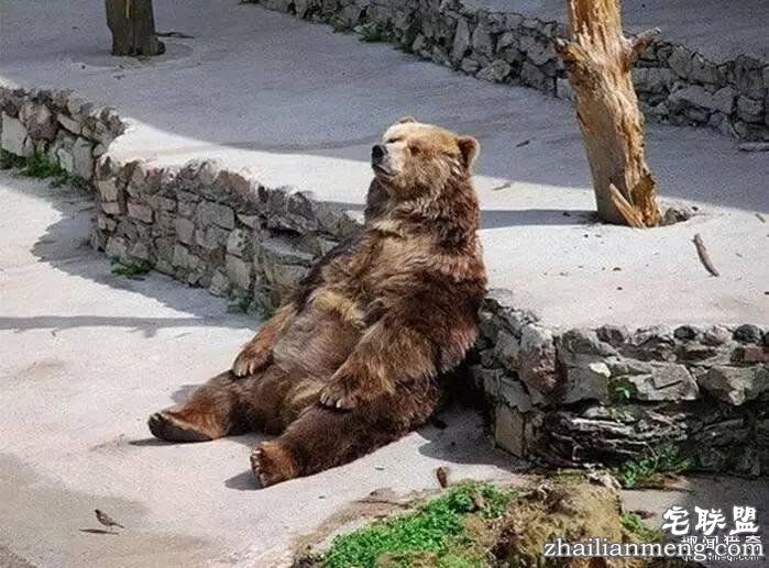 照片神吐槽，看着看着就笑了！