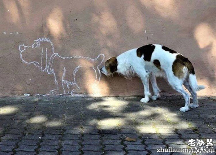 所谓的天时地利人和，说的就是这些照片