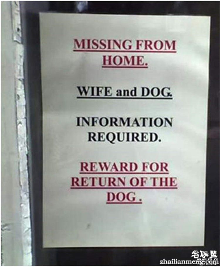 这些外国人太会玩，连找宠物的方式都这么奇特