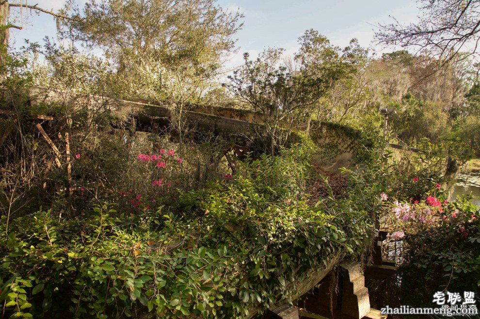 迪士尼水上乐园应该是个很欢乐的地方，但这座已荒废11年的诡异史前丛林园地让人都不敢靠近...