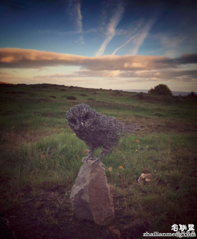 CandiceBees让你惊呆的动物雕塑！