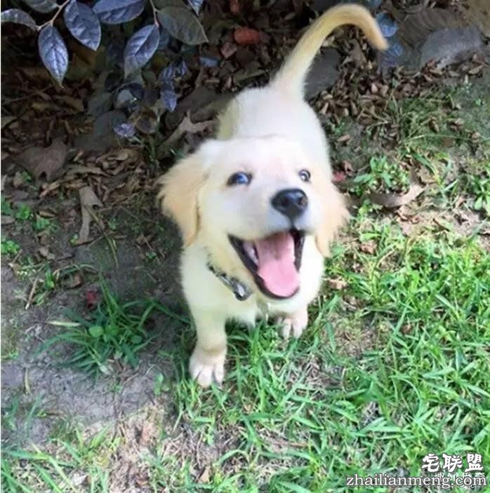 照片神吐槽，看着看着就笑了！