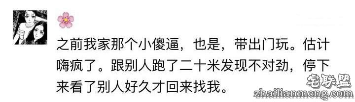 每个养哈士奇的主人，内心都住着一个喜剧之王