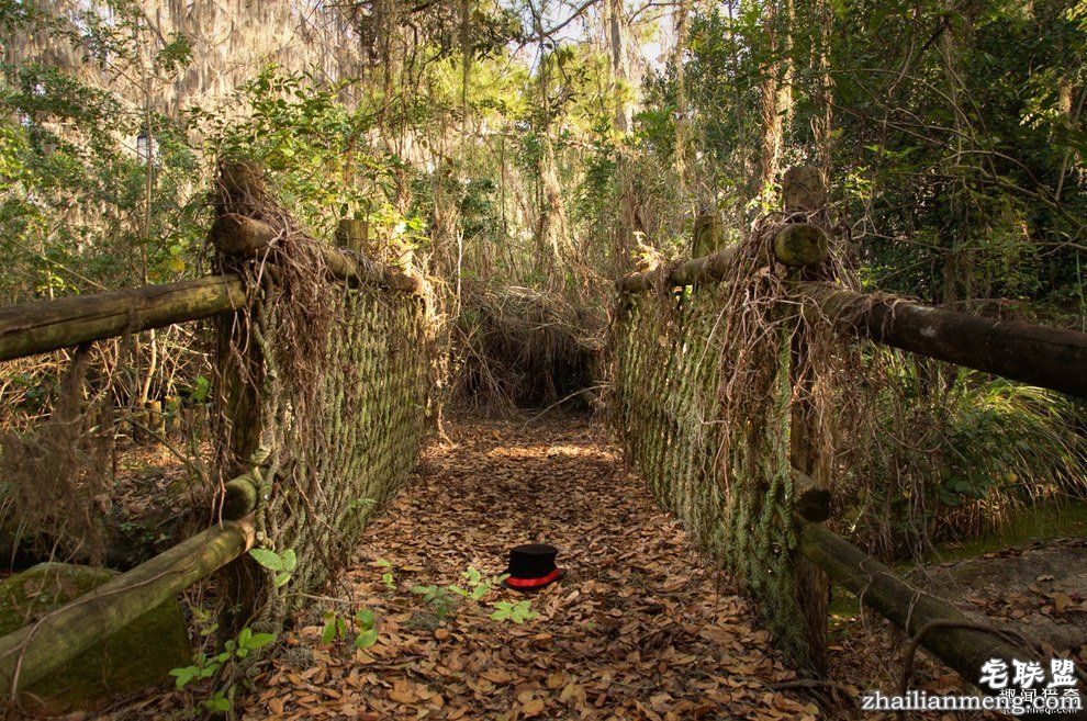 迪士尼水上乐园应该是个很欢乐的地方，但这座已荒废11年的诡异史前丛林园地让人都不敢靠近...