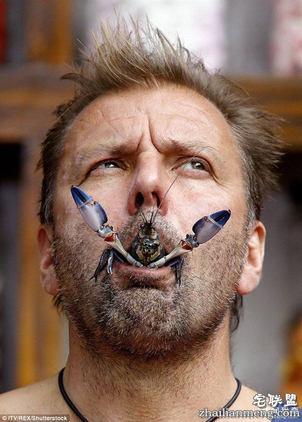 重口味网红：真人秀口含蜘蛛蟑螂