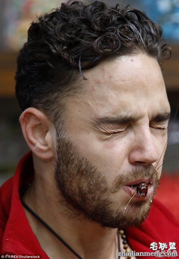 重口味网红：真人秀口含蜘蛛蟑螂