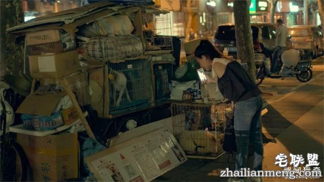 他离开家睡在街头，靠捡垃圾救了3000多条流浪狗