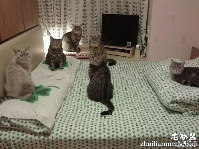 照片神吐槽，看着看着就笑了！