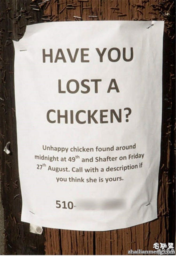 这些外国人太会玩，连找宠物的方式都这么奇特