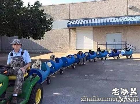 这20张照片, 证明生活还是很美好的！