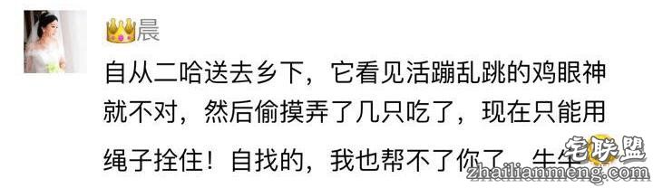 每个养哈士奇的主人，内心都住着一个喜剧之王