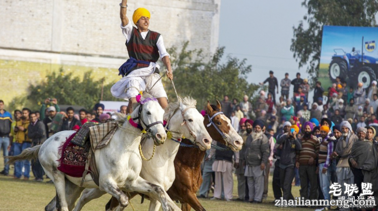 就是想红！所以印度人才拼命开挂自拍晒照