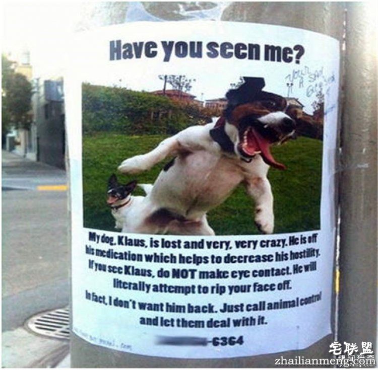 这些外国人太会玩，连找宠物的方式都这么奇特