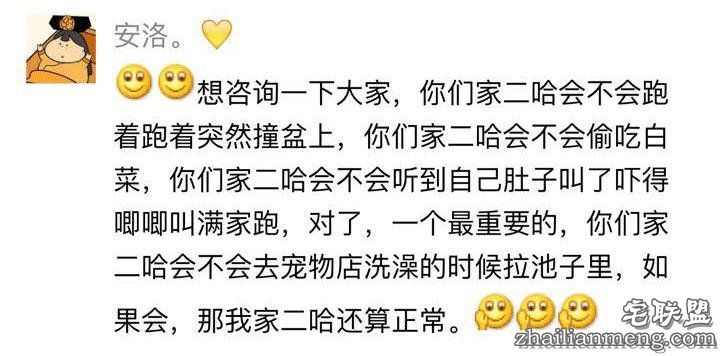 每个养哈士奇的主人，内心都住着一个喜剧之王