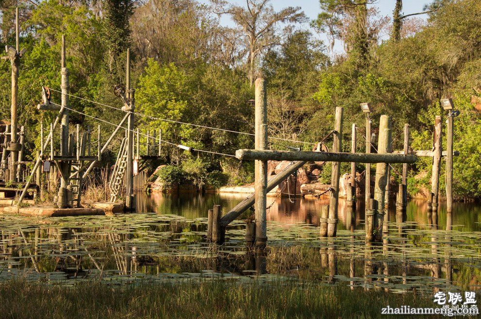 迪士尼水上乐园应该是个很欢乐的地方，但这座已荒废11年的诡异史前丛林园地让人都不敢靠近...
