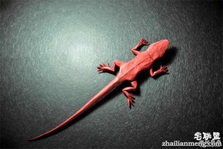 西班牙帅哥音乐家爱折纸，还折出了一个新高度