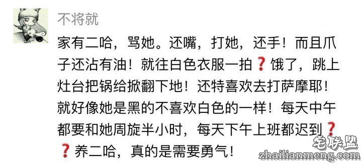 每个养哈士奇的主人，内心都住着一个喜剧之王