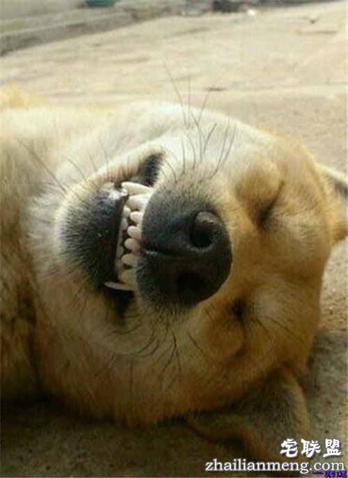 不好，有人偷牌