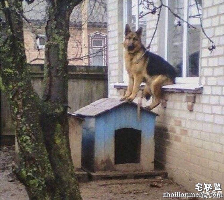 看了这组图才知道，战斗民族的生活日常有多剽悍