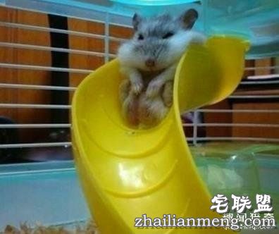 大屁屁的10种生活悲剧，一定憋住不许笑！