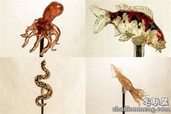 叹服！<a href=https://www.zhailm.com/e/tags/?tagname=%E6%97%A5%E6%9C%AC target=_blank class=infotextkey>日本</a>大师雕塑家制作逆天动物棒棒糖：太逼真