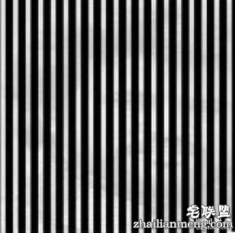 12张“必须猛摇手机”才能看到亮点的图片