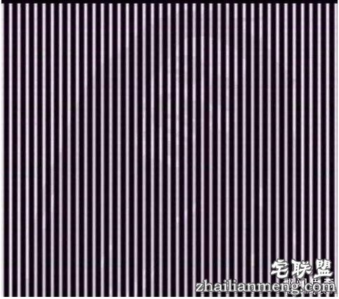 12张“必须猛摇手机”才能看到亮点的图片