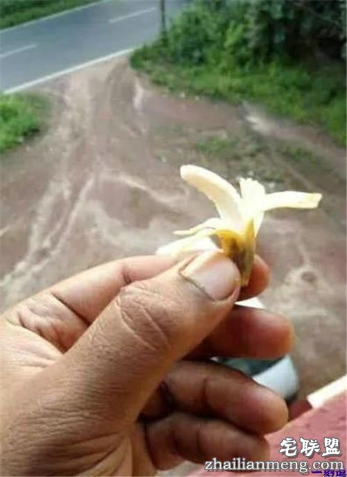 老师，你知道贾翠花是谁吗