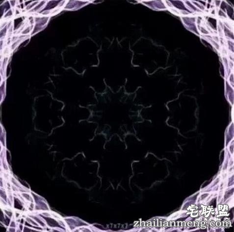 12张“必须猛摇手机”才能看到亮点的图片