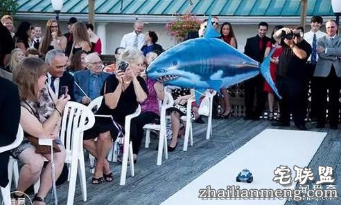 婚礼上最抢镜的，竟然不是新郎新娘……