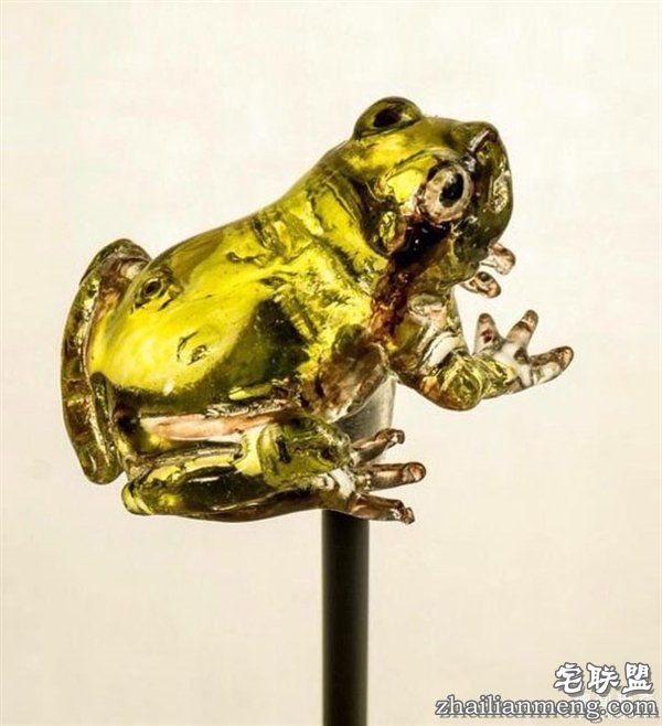 叹服！日本大师雕塑家制作逆天动物棒棒糖：太逼真