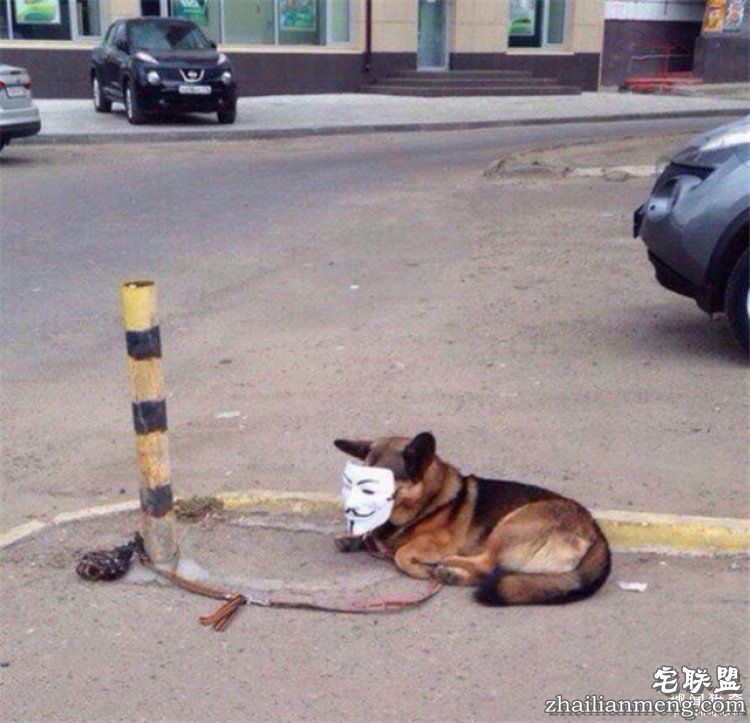 看了这组图才知道，战斗民族的生活日常有多剽悍