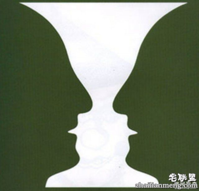 仔细看才能发现隐藏的神秘图案 不可思议的花瓶视错觉图