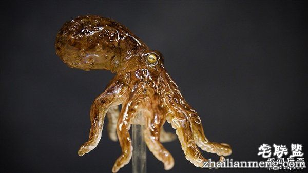 叹服！日本大师雕塑家制作逆天动物棒棒糖：太逼真