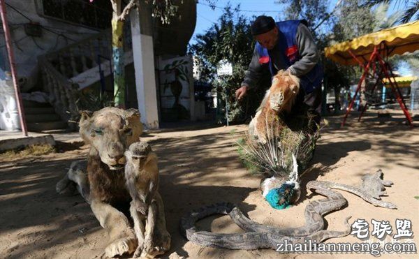 最悲惨动物园动物被饿死 干尸成儿童玩具