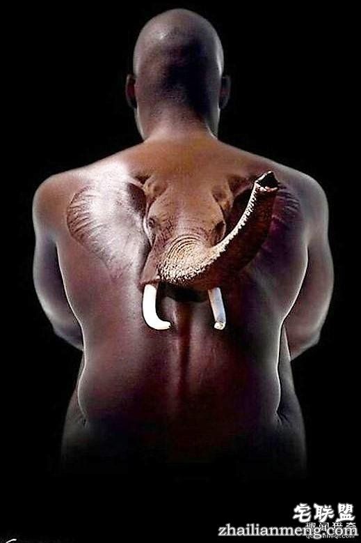 逼真的3D纹身，看后忍不不住惊呼