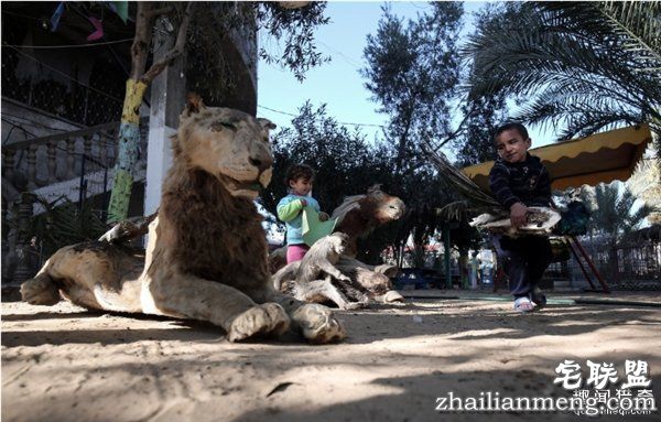 最悲惨动物园动物被饿死 干尸成儿童玩具