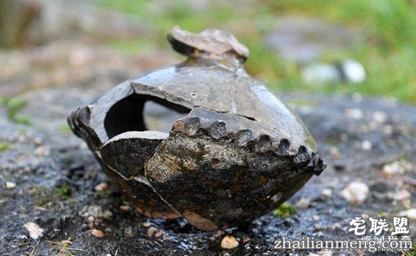 男子花光积蓄买地：竟意外发现中世纪古城