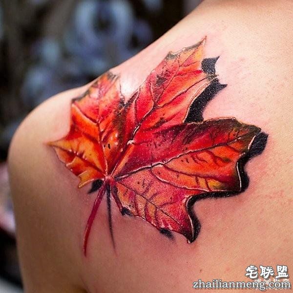 逼真的3D纹身，看后忍不不住惊呼