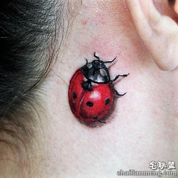 逼真的3D纹身，看后忍不不住惊呼