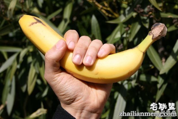 他趁老婆出差「淋沙拉油」打飞机比平时爽好几倍!老婆回国崩溃发现「GG已经坏掉了」...