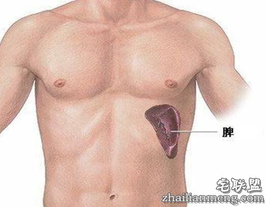 身体有6个“死穴”，伤到它们很危险！