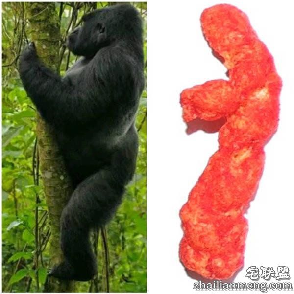 10万美元买一块零食？外国网友疯起来自己都怕