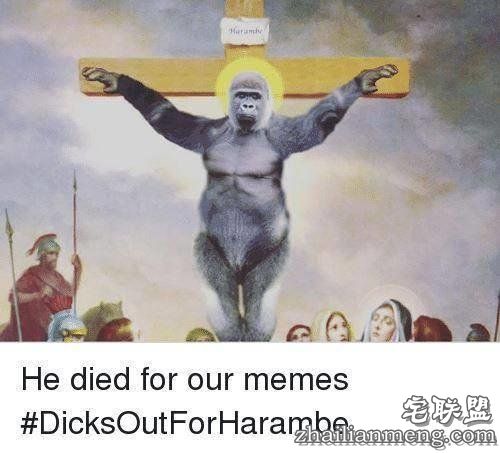 10万美元买一块零食？外国网友疯起来自己都怕